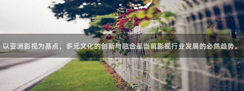 以亚洲影视为基点，多元文化的创新与融合是当前影视行业发展的必然趋势。