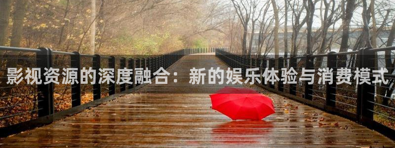 影视资源的深度融合：新的娱乐体验与消费模式
