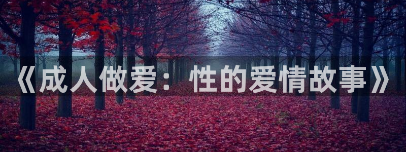 《成人做爱：性的爱情故事》