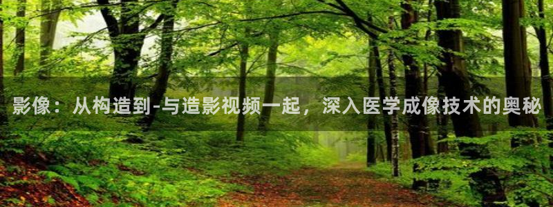 影像：从构造到-与造影视频一起，深入医学成像技术的奥秘