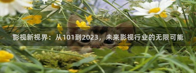 影视新视界：从101到2023，未来影视行业的无限可能