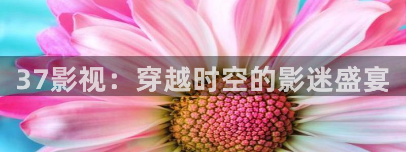 37影视：穿越时空的影迷盛宴